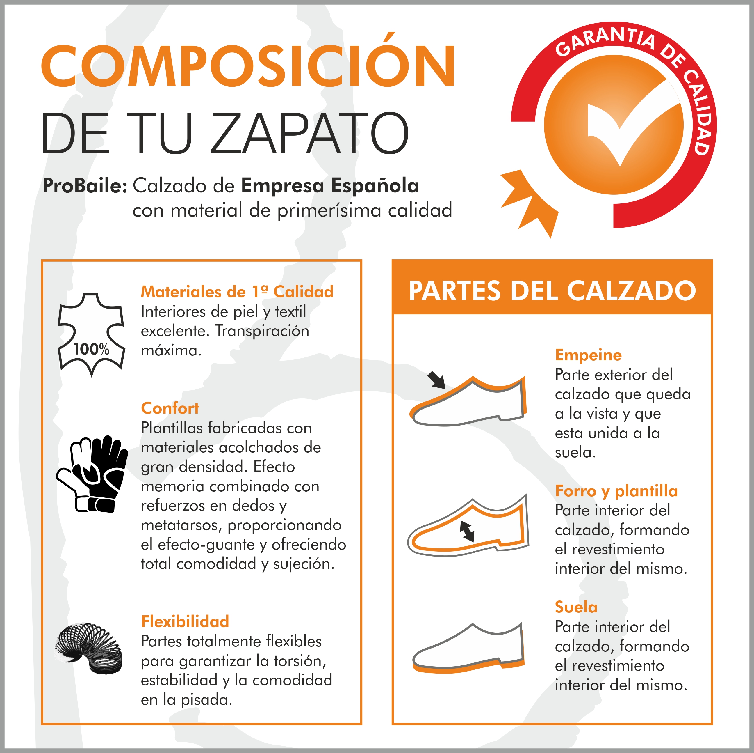 composicion zapato de baile